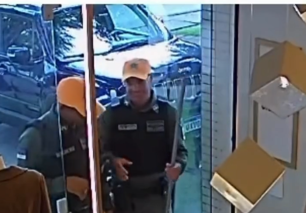 Mulher chama policiais para retirar aranha que apareceu em sua loja